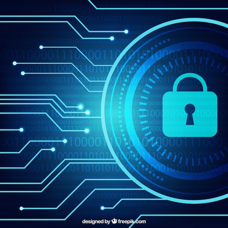 Mistérios Criptográficos: A Segurança de Dados em Transações Digitais